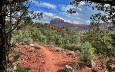 First peek of new Turkey Creek trail system